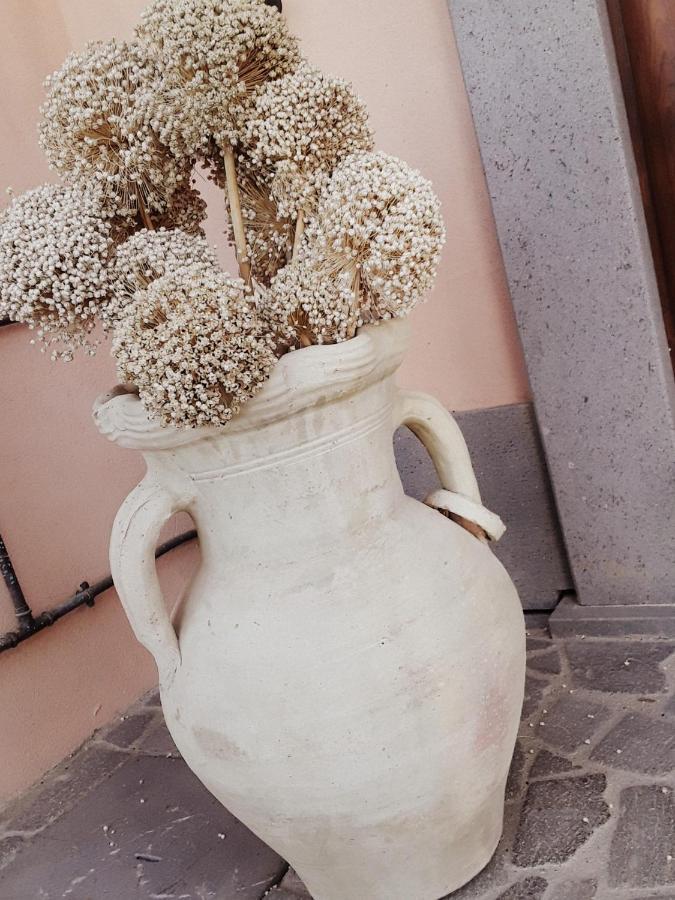B&B La Lumachella Porano Dış mekan fotoğraf