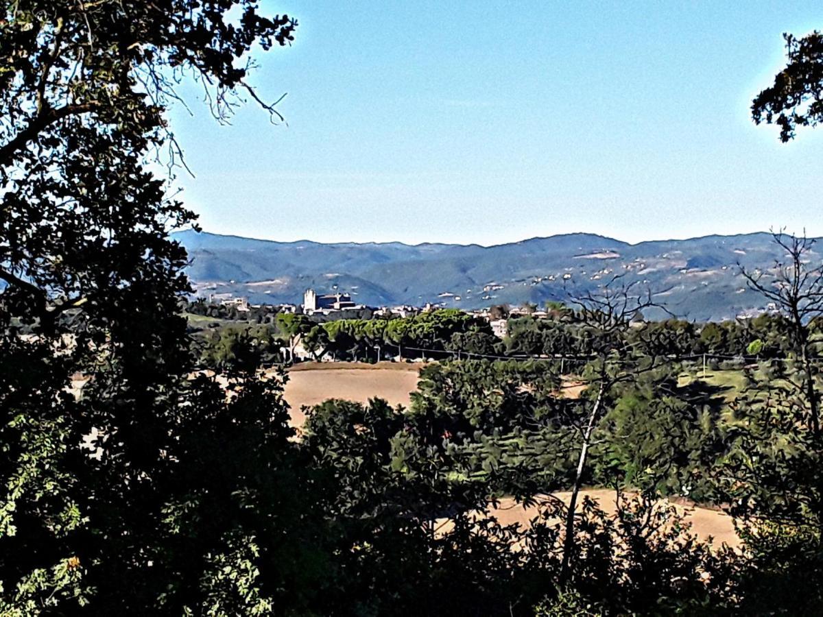 B&B La Lumachella Porano Dış mekan fotoğraf
